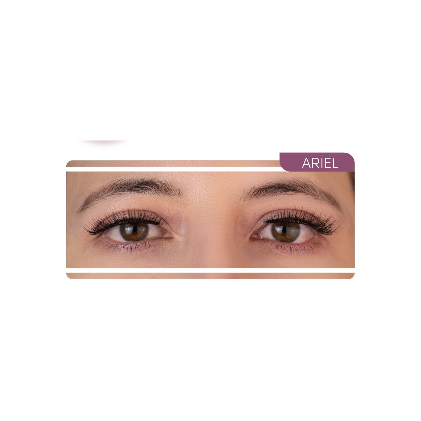 Maxi Eye - Ariel
