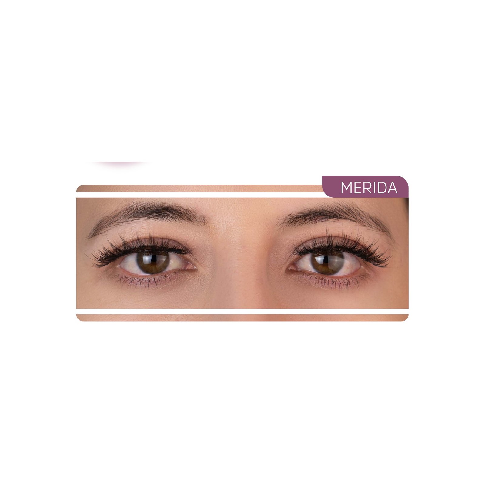 Maxi Eye - Merida